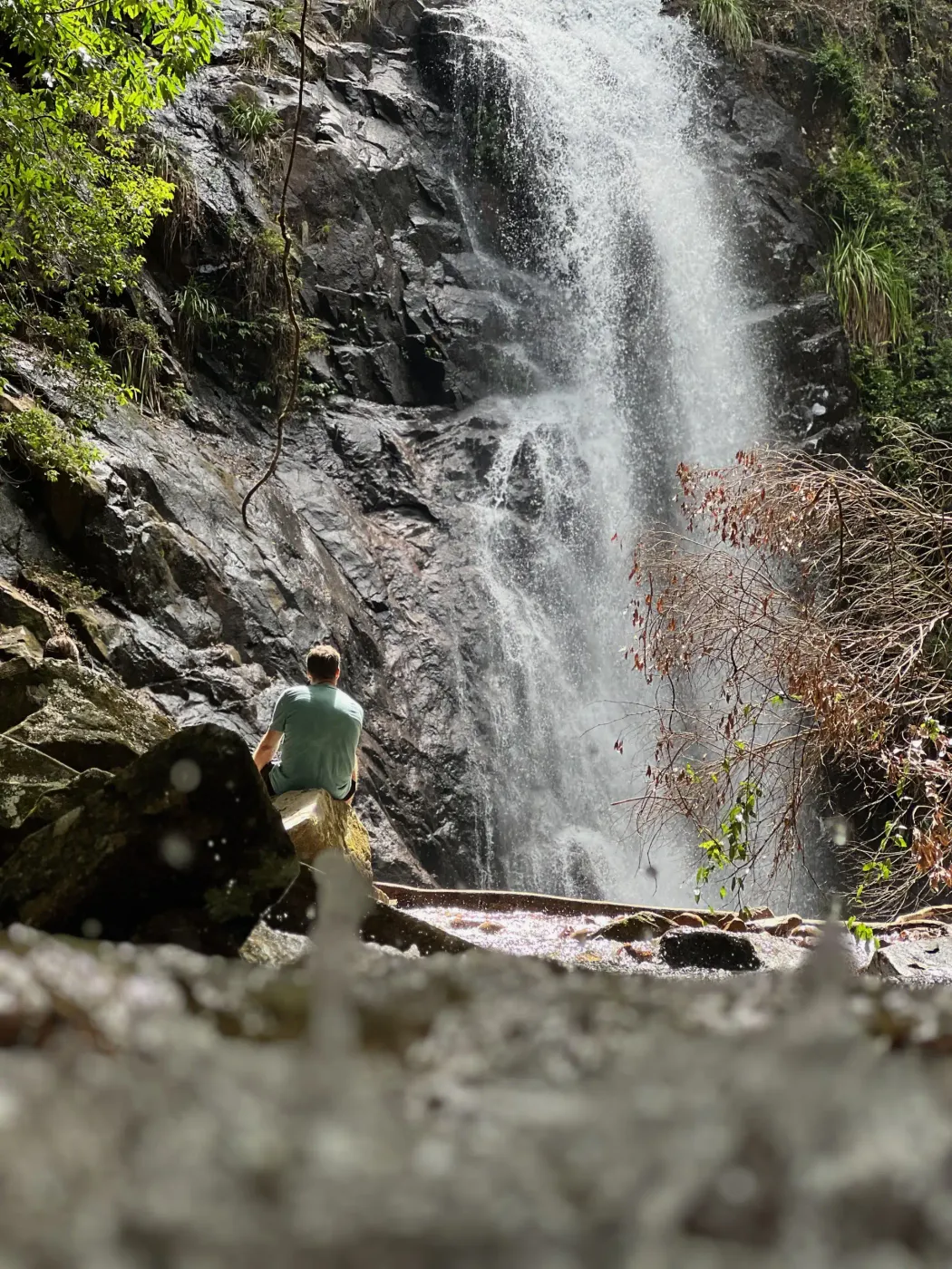 Vitamin D3 and K2 benefits: how the pair actually works and why food comes first