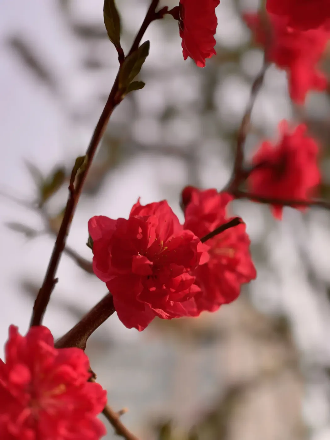 Hormonal belly: what your body shape really tells you about your hormones