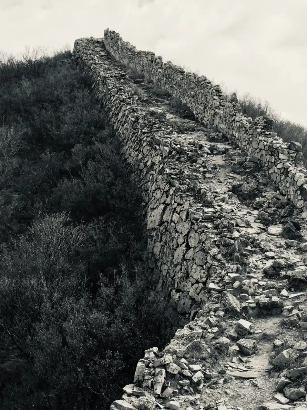 What foundational health actually means