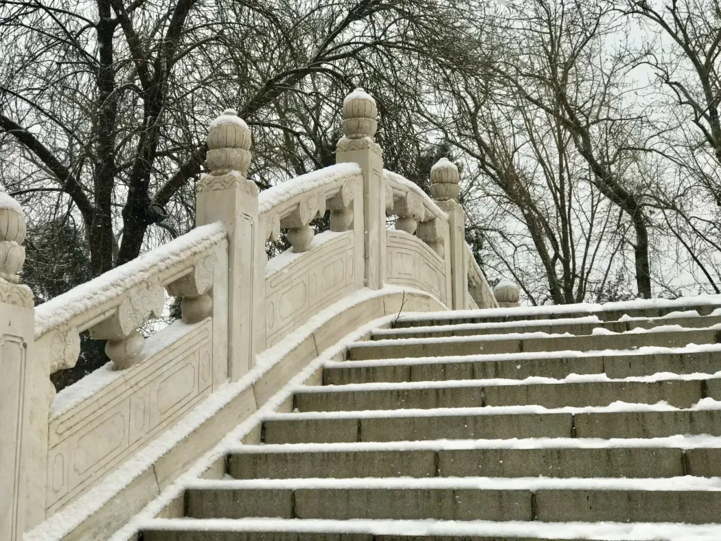 Living without a gallbladder: what 13 years taught me